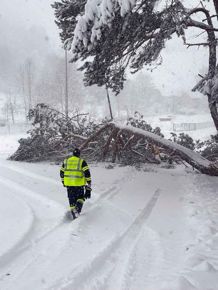 Bäume brechen unter der Last von 30cm Neuschnee